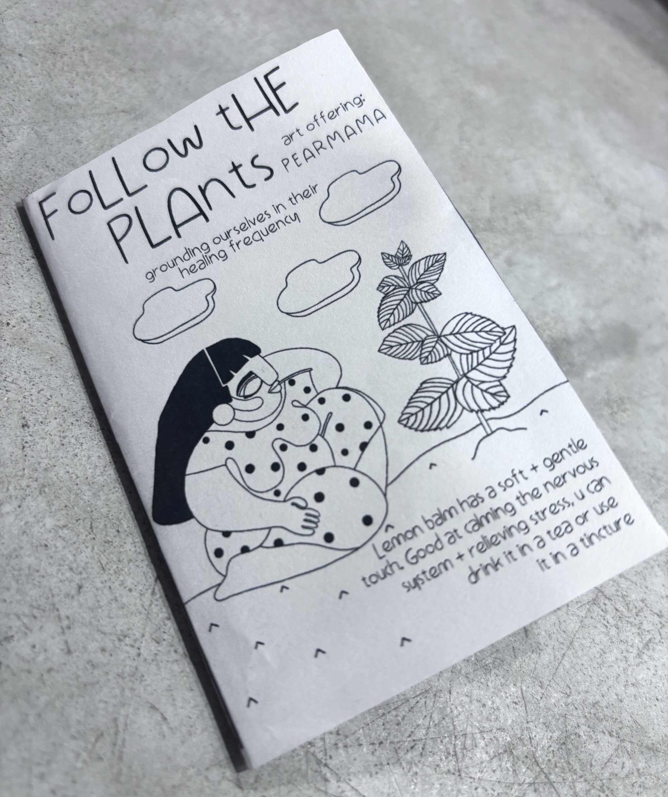 FOLLOW THE PLANTS zine // vol 2 - Image 5