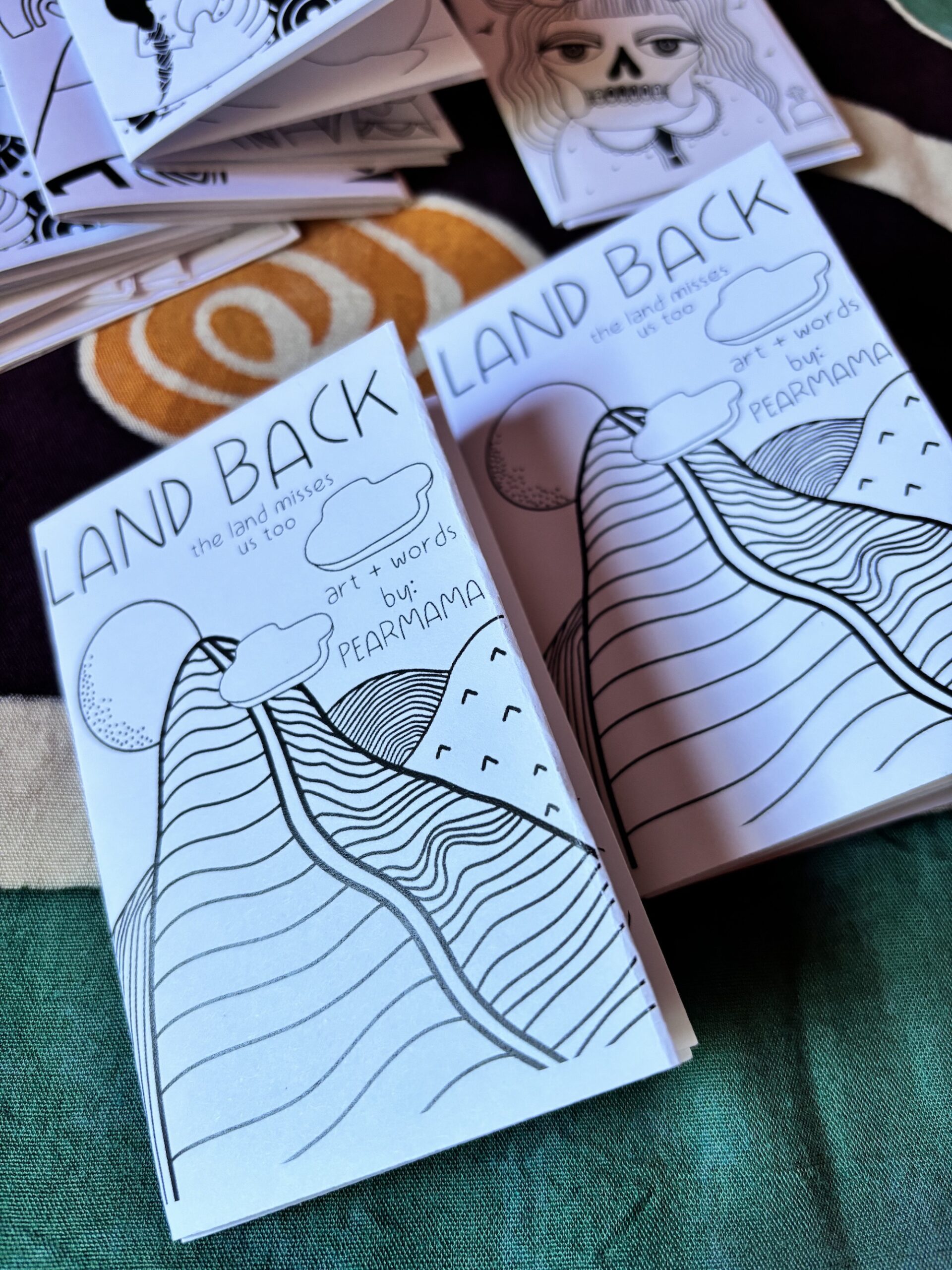LAND BACK zine // vol 1 - Image 3