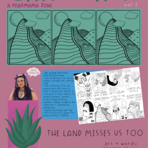 land back art zine infographic