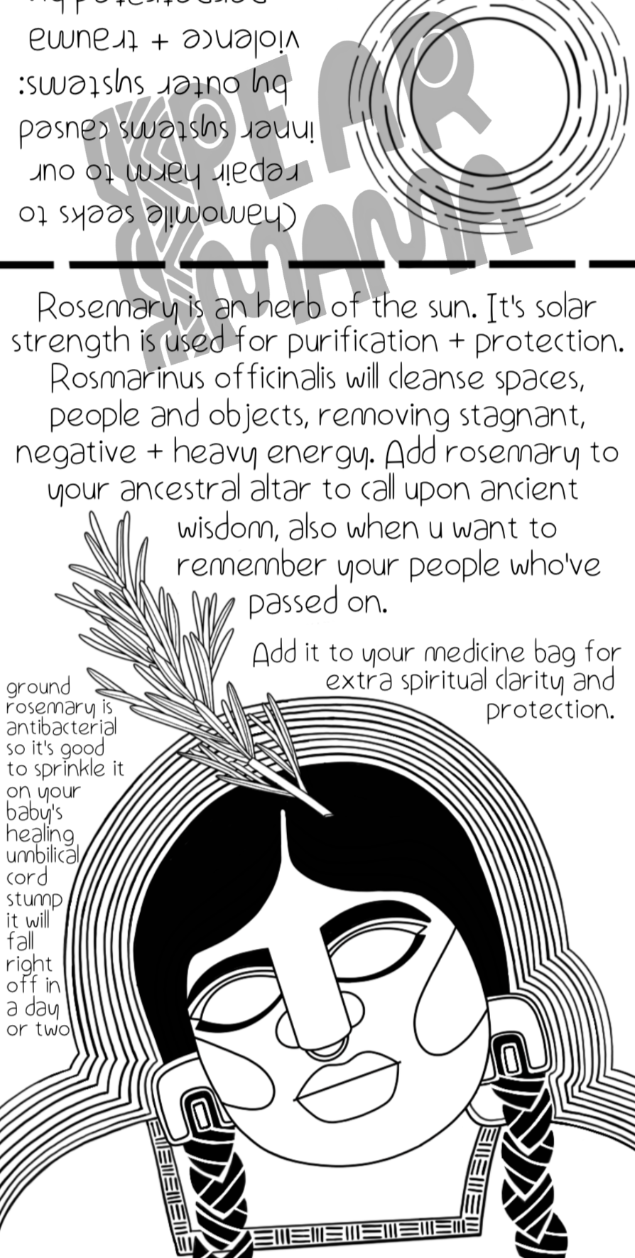 FOLLOW THE PLANTS zine // vol 2 - Image 3