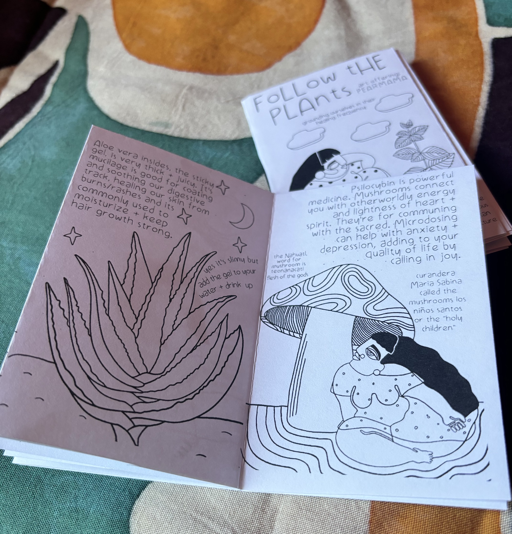 FOLLOW THE PLANTS zine // vol 2 - Image 7