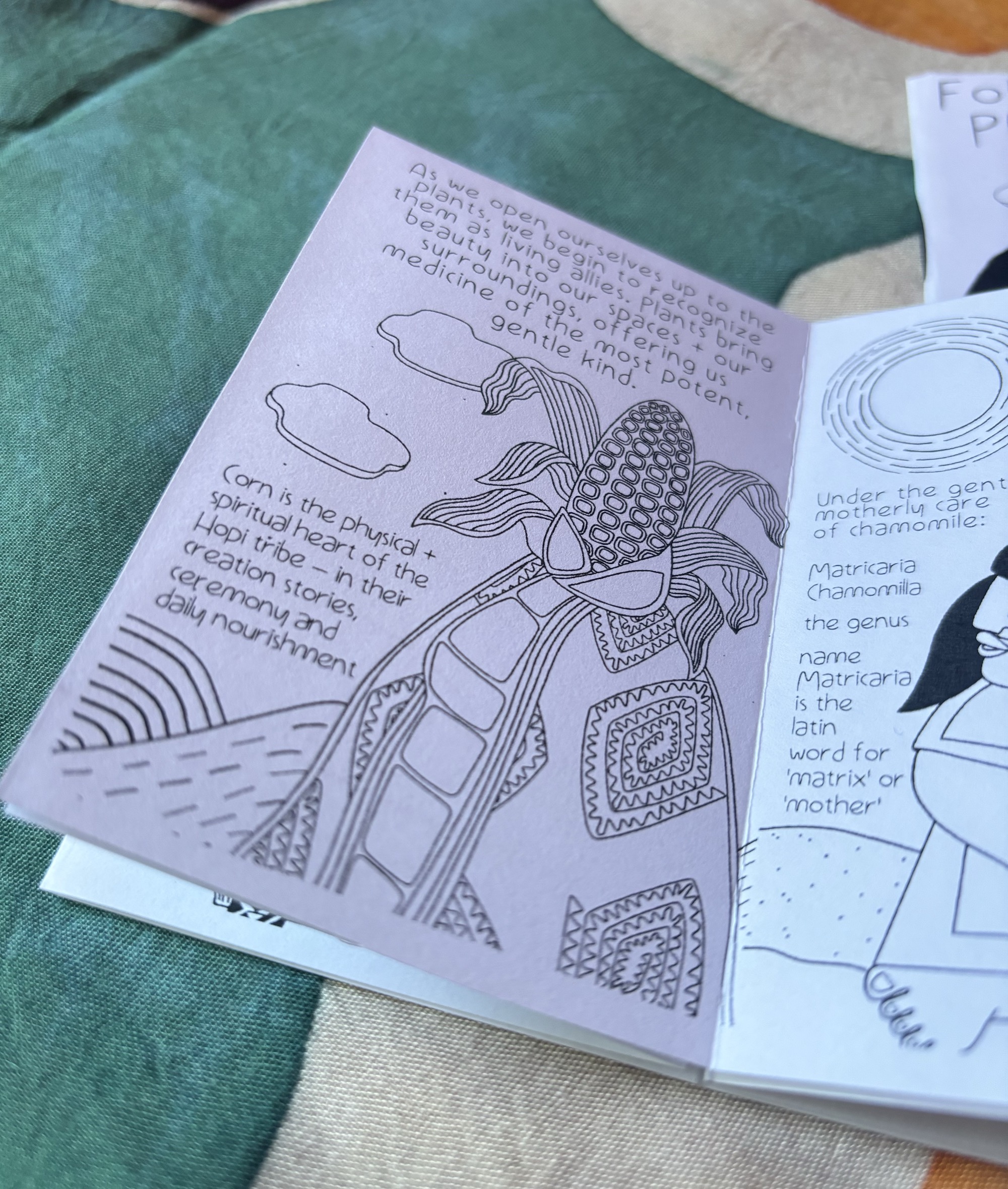 FOLLOW THE PLANTS zine // vol 2 - Image 8