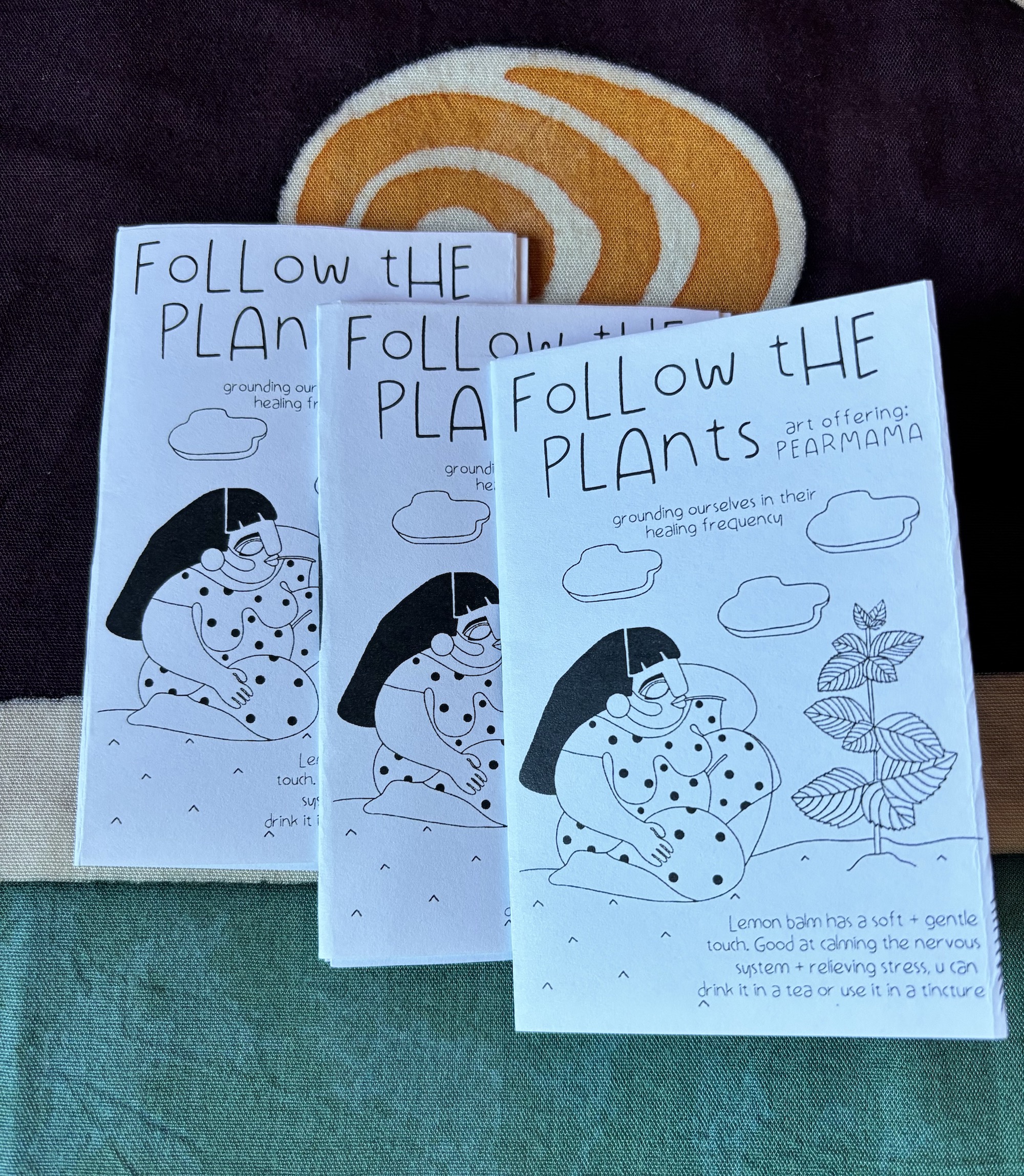 FOLLOW THE PLANTS zine // vol 2 - Image 3