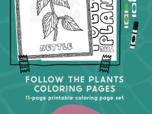 Follow the Plants - 11 printable coloring pages