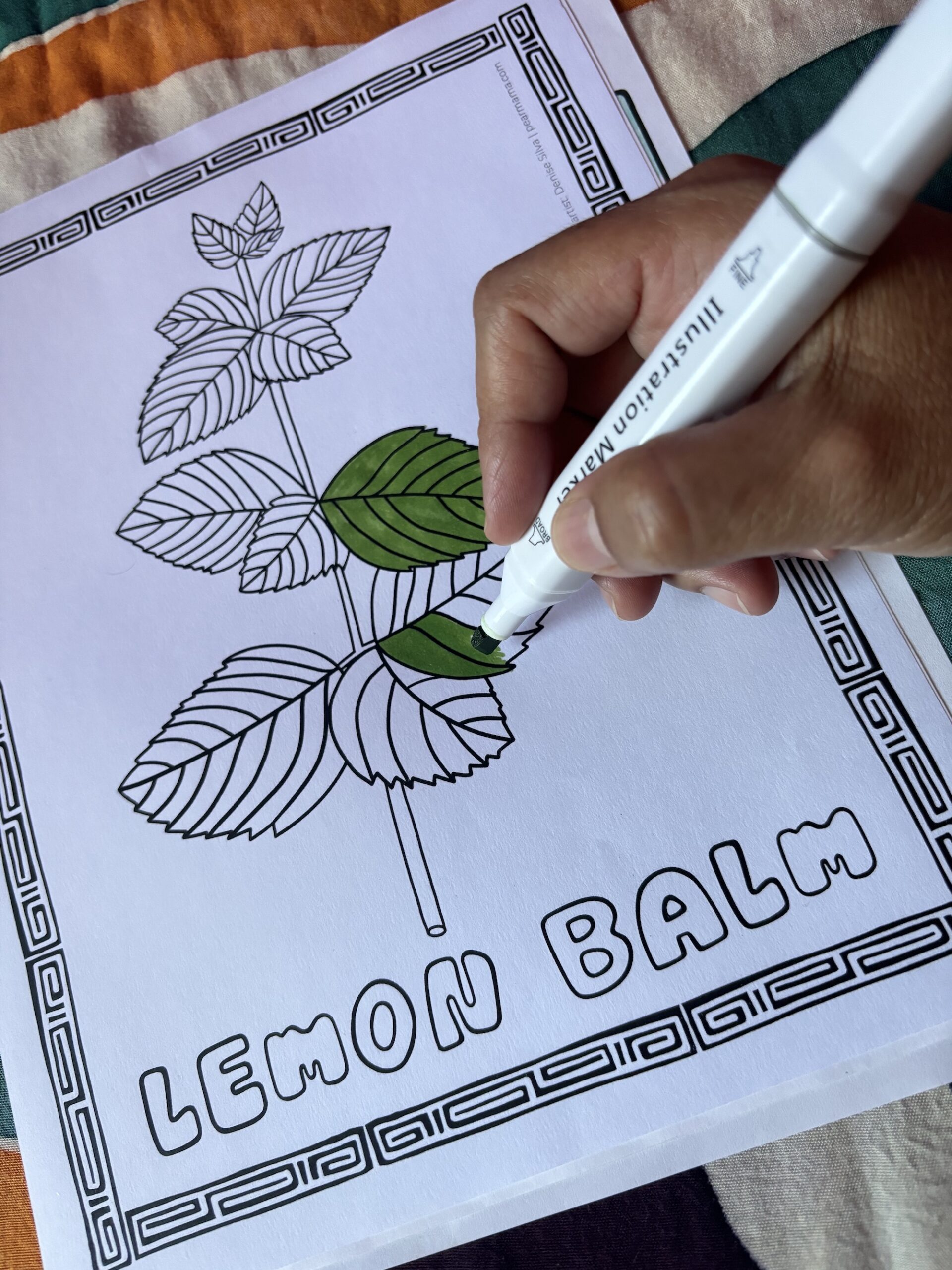Follow the Plants - 11 printable coloring pages - Image 4