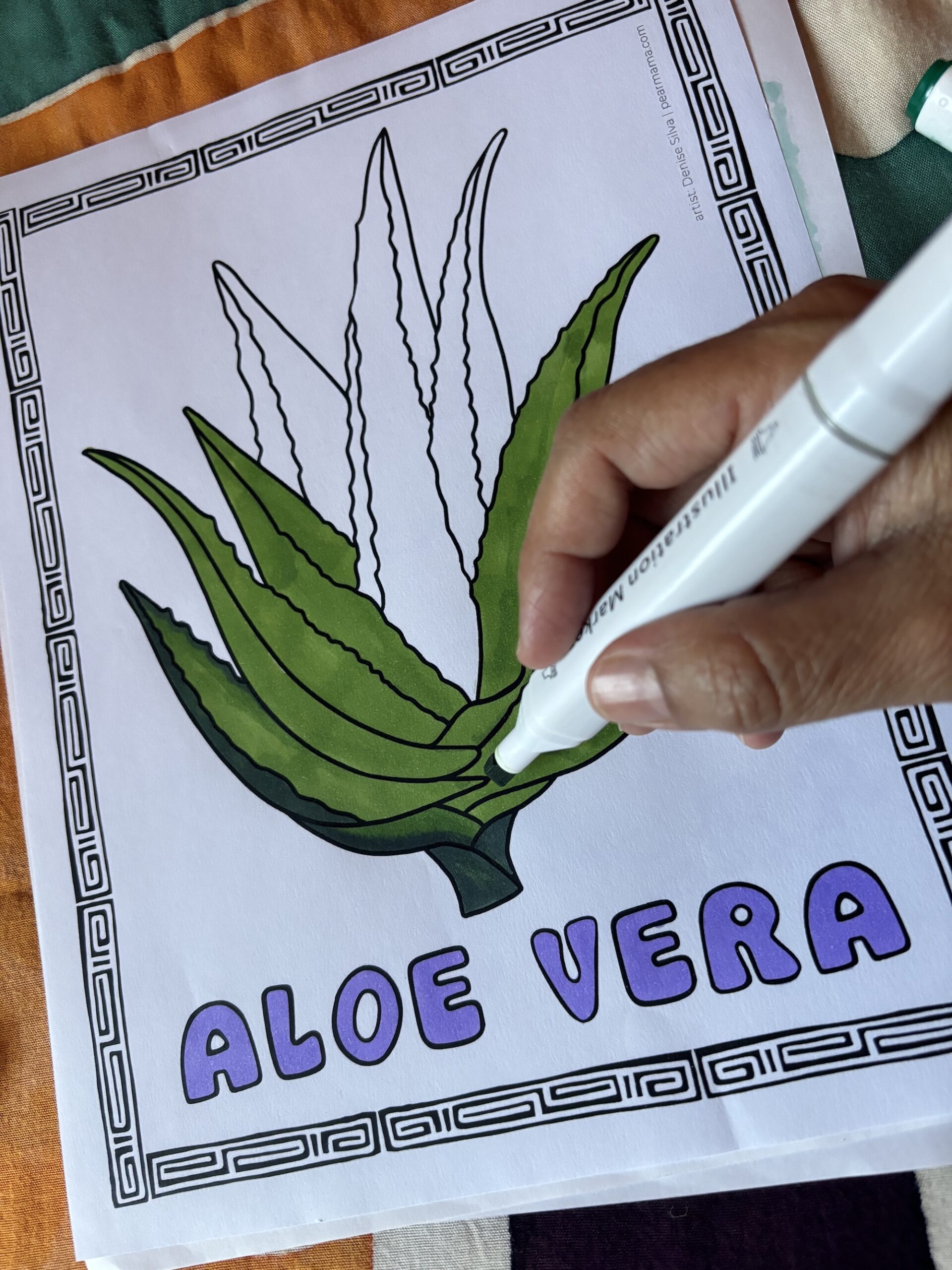 Follow the Plants - 11 printable coloring pages - Image 3